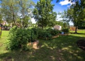Thumbnail 7 of 18 - Community Garden at Cambridge Square Chesapeake
