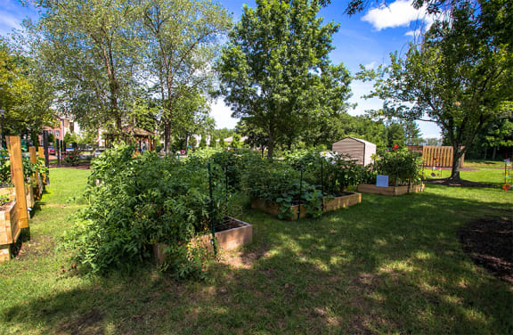 Community Garden at Cambridge Square Chesapeake