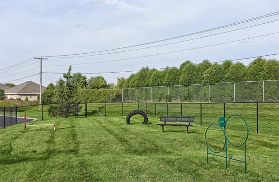 Fenced-in Dog Bark Park with Seating and Dog Obstacles