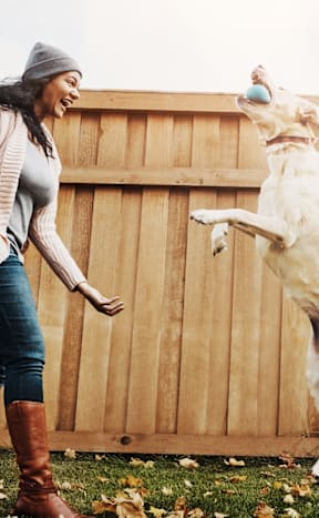 A woman and a dog playing with a ball.