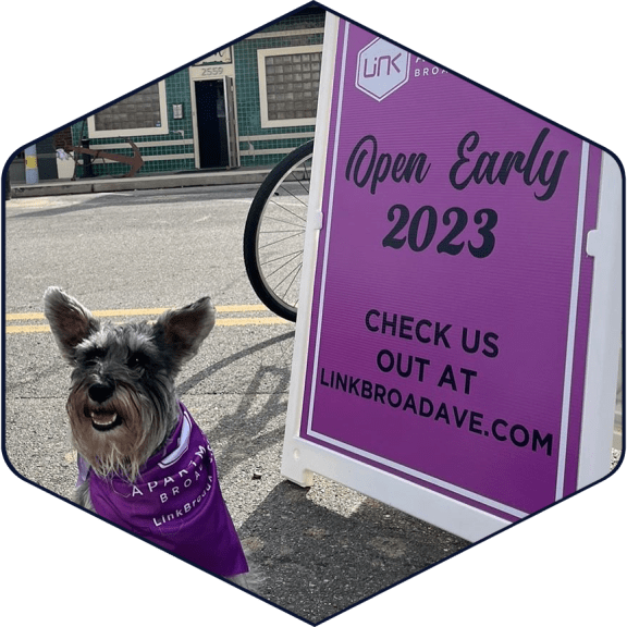 a small dog wearing a purple shirt standing next to a sign