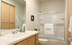 Bathroom vanity and shower The Reserve | Rohnert Park, CA 94040
