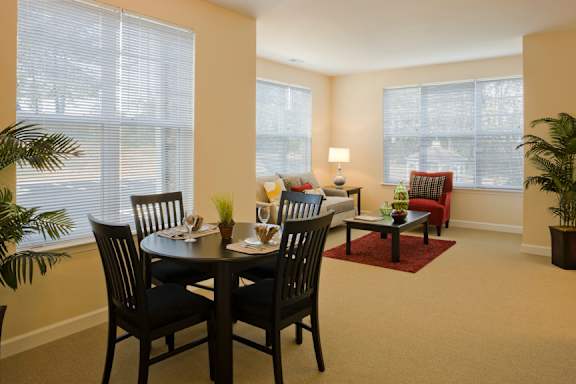 Bright Sunny Apartment Home