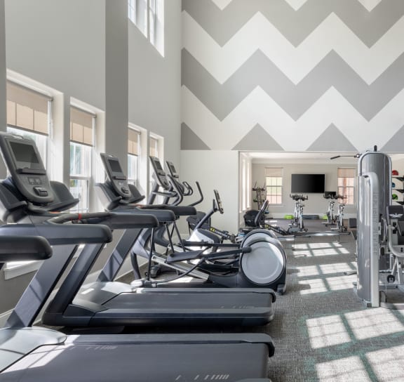 a large fitness center with treadmills and other exercise equipment