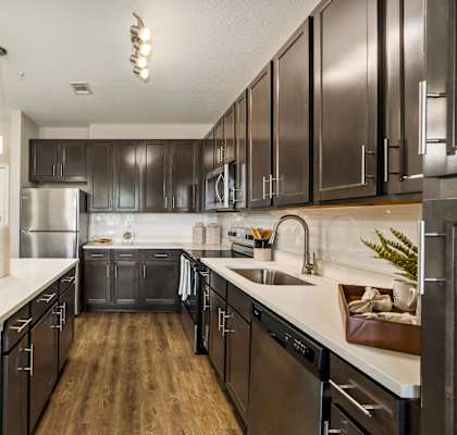 A modern kitchen with dark brown cabinets and stainless steel appliances.