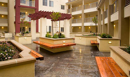 A courtyard with a bench and a tree in the middle.