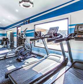 a gym with cardio equipment and weights