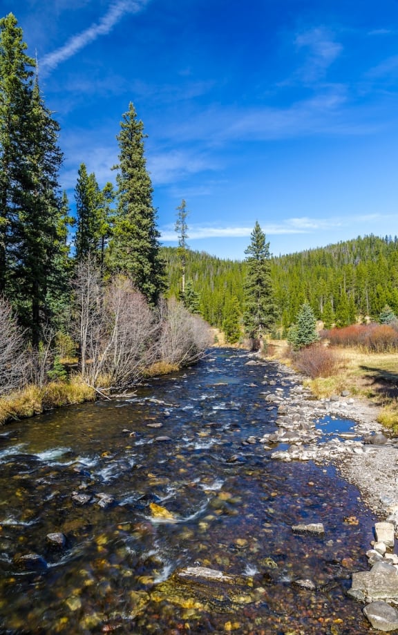 Beautiful View of Flowing River and Trees