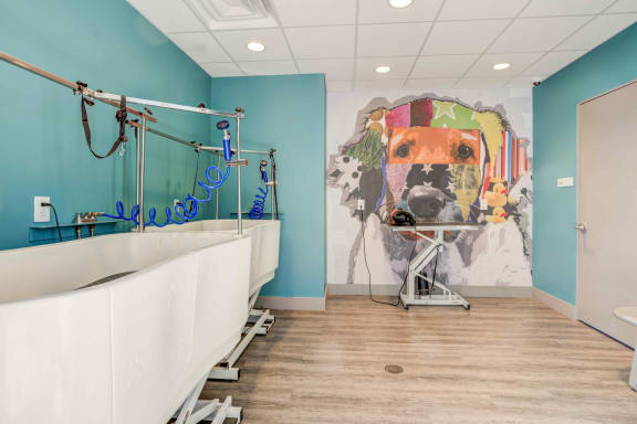 a bathroom with a large mural of a dog on the wall at Delamarre at Celebration, Celebration