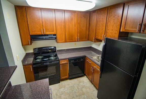 Crane Village Apartments One Bedroom 1D Kitchen