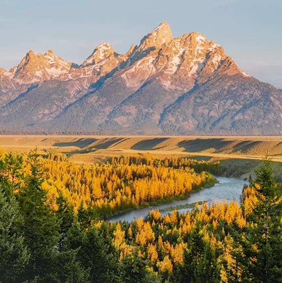 A river flows through a forest of trees with a mountain range in the background.