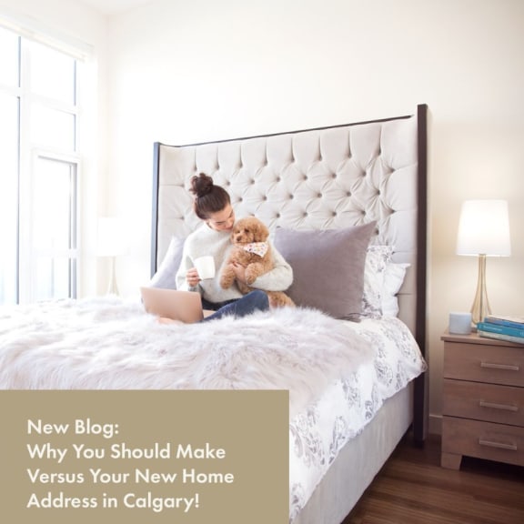 a woman sitting on a bed holding a dog and using a laptop at Versus, Calgary, Alberta