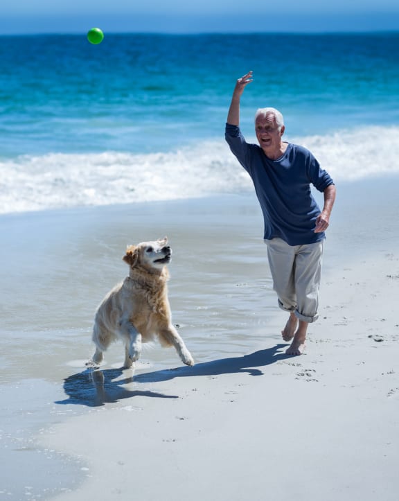 a man and his dog playing with a ball on the beach