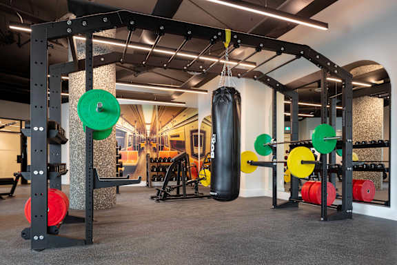 A gym with a punching bag, weight plates and a squat rack.