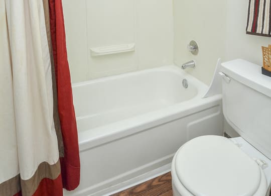 Classic Bathroom Shower Style
