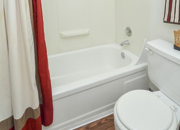 Classic Bathroom Shower Style