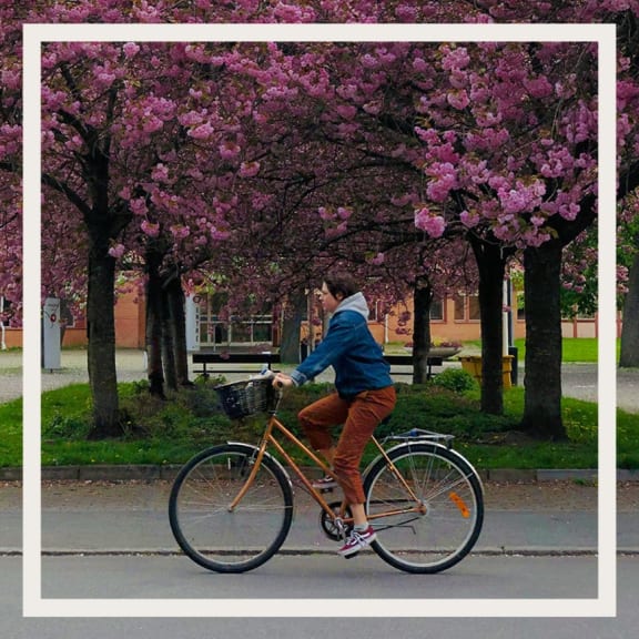 A person riding a bike at BLVD Beltline, Calgary, Alberta, T2G 2K4