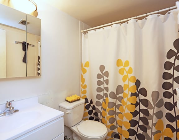 a bathroom with a shower curtain and a sink and a toilet