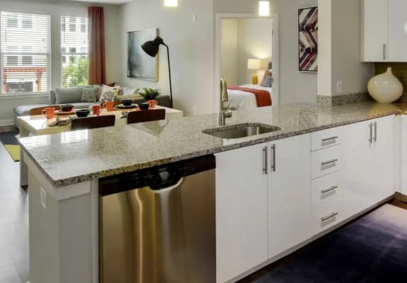 a kitchen with a stainless steel dishwasher and a counter top