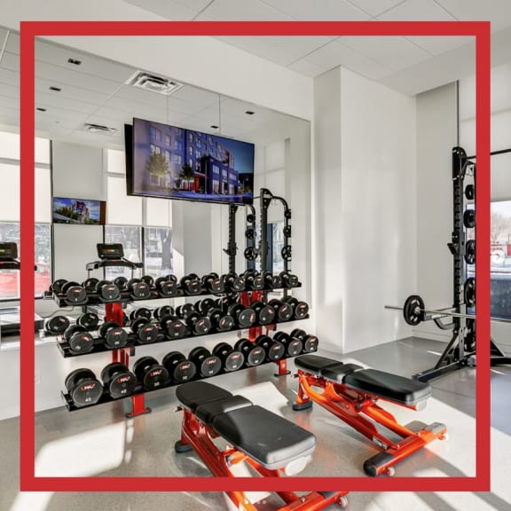 a home gym with a rack of dumbbells and other exercise equipment at Southpark on Whyte, Edmonton, Alberta