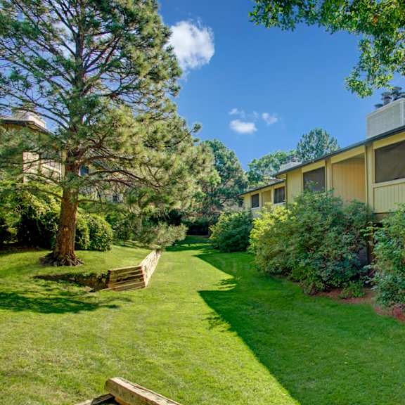 The park area of Retreat at Austin Bluffs with a grassy area and trees. 