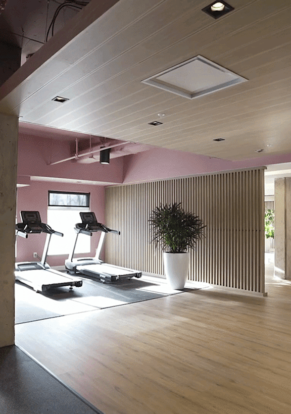 A gym with treadmills and a plant.