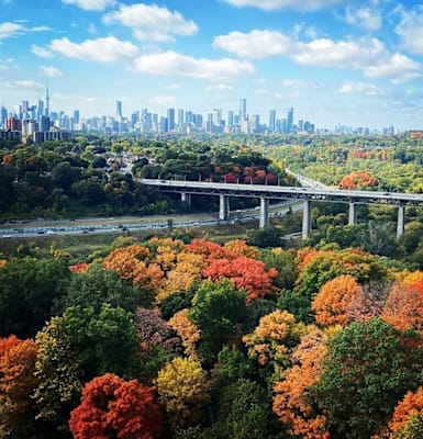 View from Rideau Towers