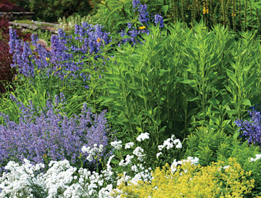 Outdoor Garden
