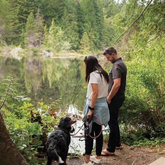 A man and woman standing by a lake with a dog.
