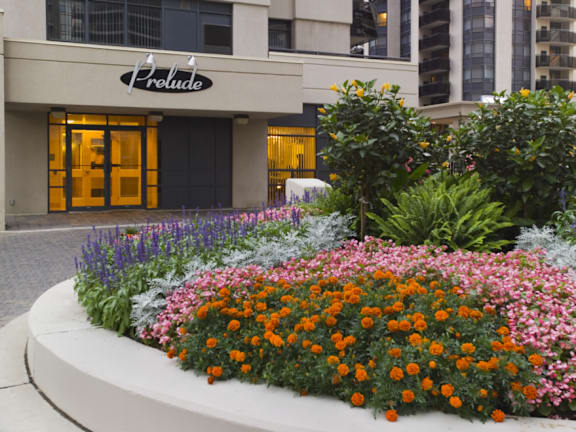 a garden of flowers in front of a building