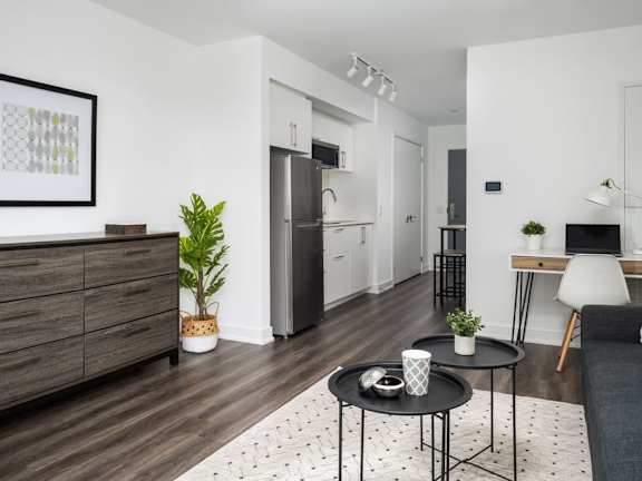 a living room with white walls and a black and white rug