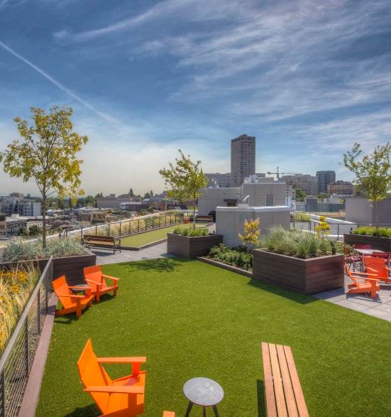 Rooftop with plants and seating