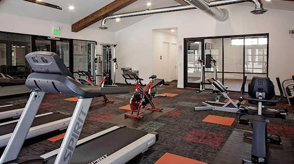 gym