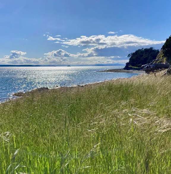 A grassy beach with a body of water and a rocky outcrop in the distance.