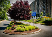 Thumbnail 15 of 50 - Heritage Park Apartments Entry Landscaping