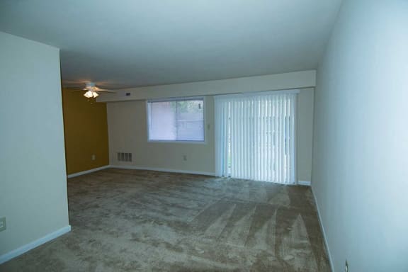 Del Vista Apartments Large Windows