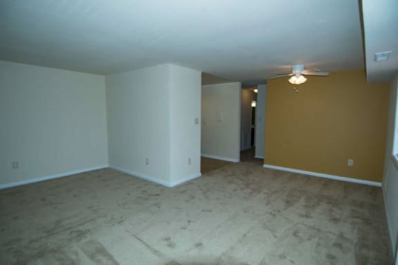 Del Vista Apartments Carpeting