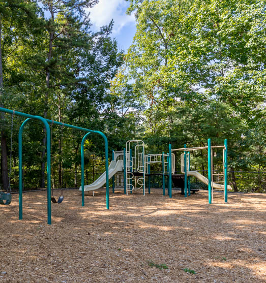 Playground at Alexander Ridge Apartments in Canton, GA