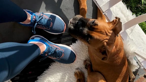 a dog looking up at a person wearing blue shoes at Vox Apartments, Manchester, M15 4YD