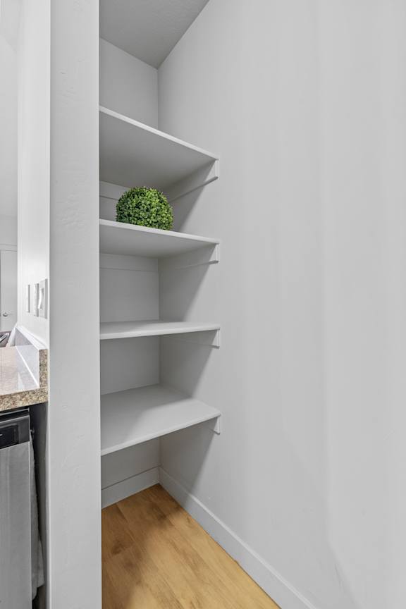 A small green plant sits on the top shelf of a white shelving unit.