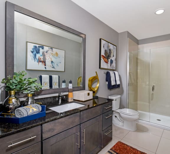a bathroom with a large mirror and black cabinets