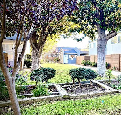a garden with trees and shrubs in front of a house at Fiesta Apts, Lompoc, 93436