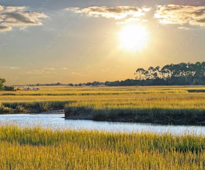 a sunset over a marsh with a river