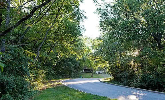 A tree-lined road curves to the right in the distance.