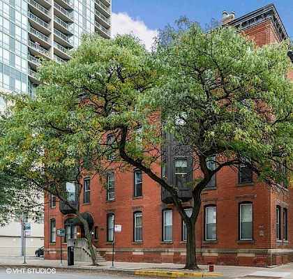 A large tree grows out of a building on a city street.