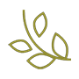 a picture of a yellow fractal design on a black background