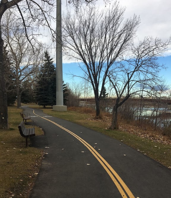 little boy riding a bike in the park