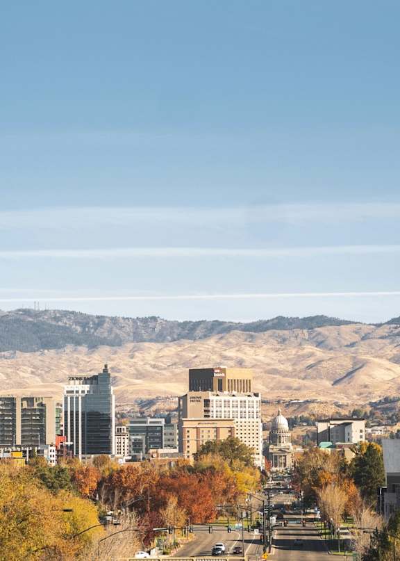 A cityscape with buildings and a mountain in the background.