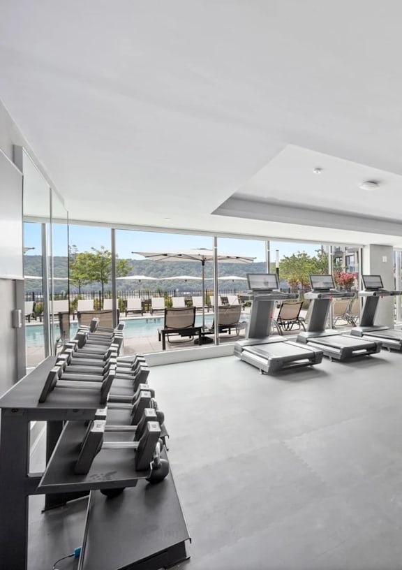 A gym with treadmills and a view of the outside.