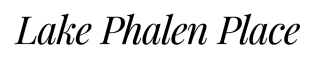 how to write the word in calligraphy